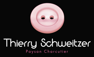 logo Thierry Schweitzer
